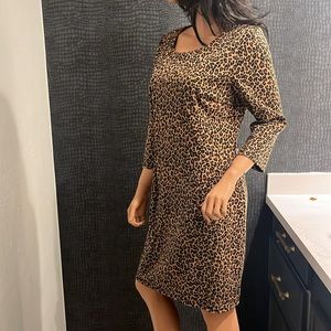Spence leopard print women size 12. Gold exposed zipper at back.